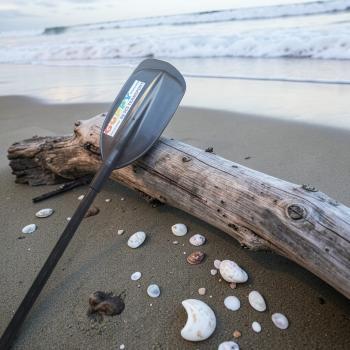 Guppy Kinderpaddel von SCS Teamsport