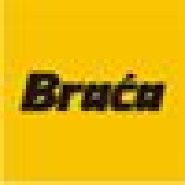 Braca Schaft Hard Carbon